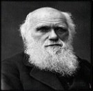 達爾文進化島V19