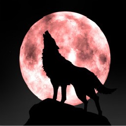 狼神TD 4.22-1.24加強版