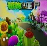 植物大戰(zhàn)僵尸Plants vs. Zombies0.5