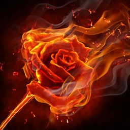 死亡玫瑰系列-僵尸危機1.19.4