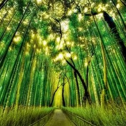 災(zāi)厄IV生死之章4.1