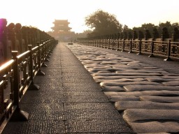 保衛(wèi)盧溝橋之烽火(玖)