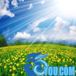 田園守衛戰 第二季