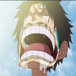 海賊王之大事件1.4測(cè)試版