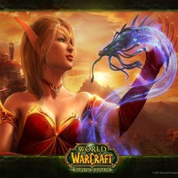 圣域守護者の未來(含隱藏英雄密碼)