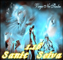 黃金圣斗士Sanit Seiva1.21E 模型版