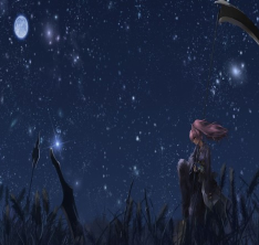 安眠的雪日0.30無CD無限藍P閃版