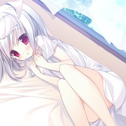 新翼之夢(mèng)4.7無(wú)CD無(wú)限藍(lán)P閃版