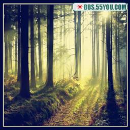 迷林 第一章 噩夢(mèng)之初1.0試玩版