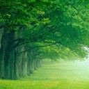 獸人逃亡1.2a修復版