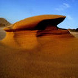 海灘避難1.5 第二章:追隨者