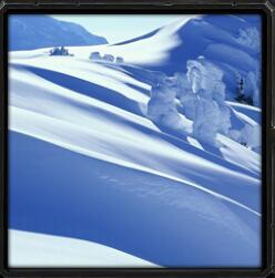 新雪地大逃亡v4.4純凈版