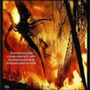 新廢墟大逃亡.24v7.1.4正式版