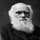 達爾文進化島257正式版