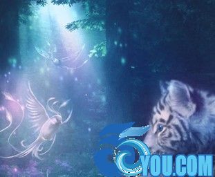 精靈之根1.17無CD無限藍P閃版