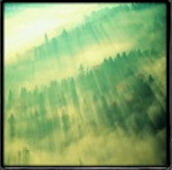 災厄IV黎明天際1.0