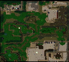 生存戰(zhàn)爭(zhēng)1.62 正式版