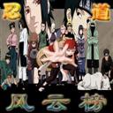 忍道風(fēng)云榜1.2正式版