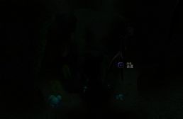 天選之人v1.0漢化版