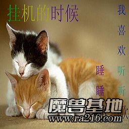 木頭ren掛機(jī)中。。。