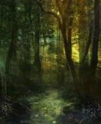 ac40a8b6f90d9a417170a54ca433bc53 (1).jpeg