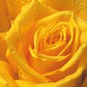 神魔爭(zhēng)霸-最終戰(zhàn)役正式版