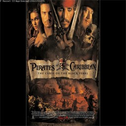 新小偷海盜 加勒比海盜