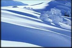 新雪地大逃亡4.2正式版[純凈版]